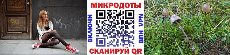 Галлюциногенные грибы Cubensis  Купить  Льгов 